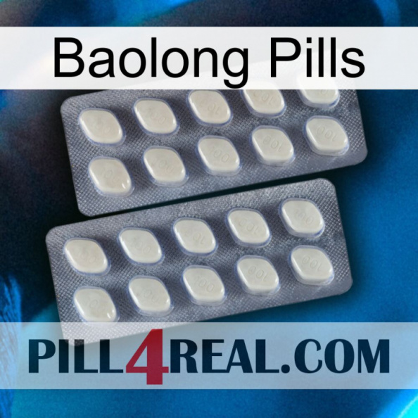 Baolong Pills 07.jpg